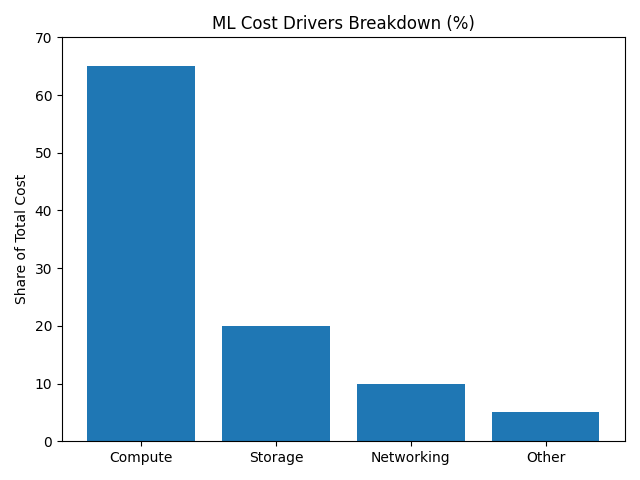 ML cost drivers
