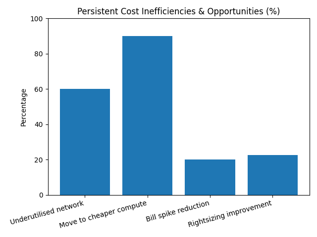 Persistent cost inefficiencies